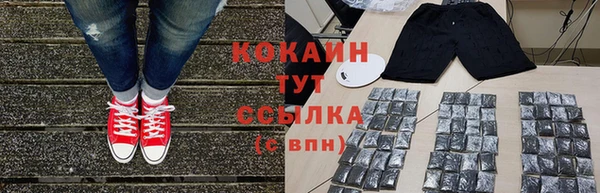 спиды Каменка