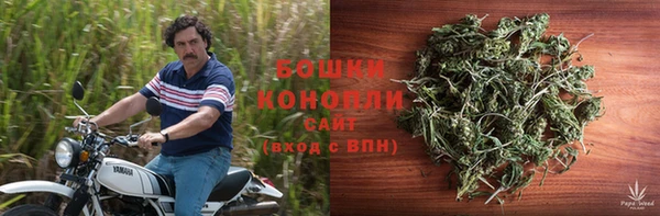 дмт Каменногорск